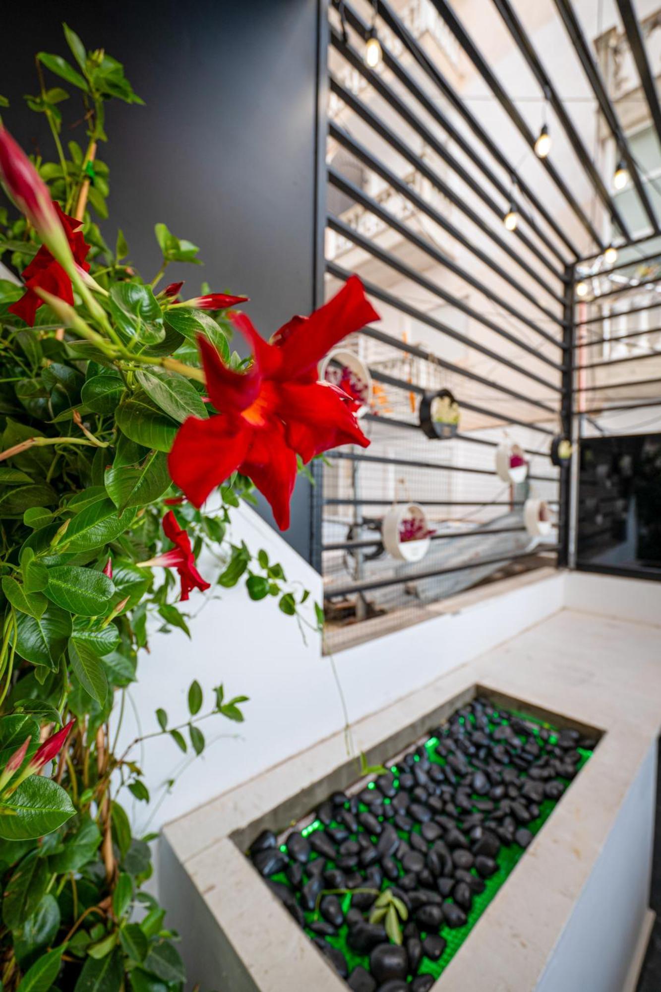 Mato Luxury Apartments Саранде Екстериор снимка